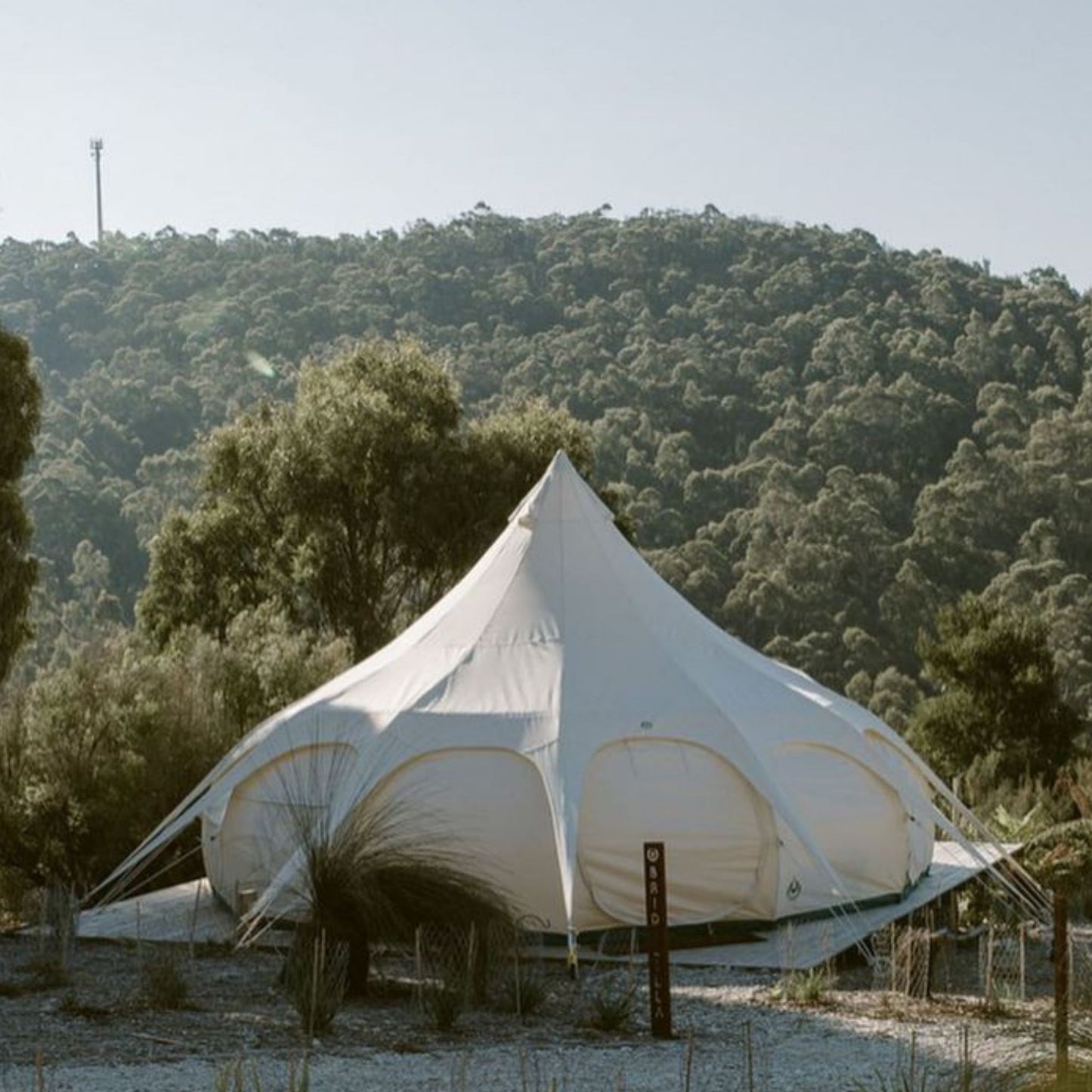 6m Lotus Belle Hybrid Deluxe Tent