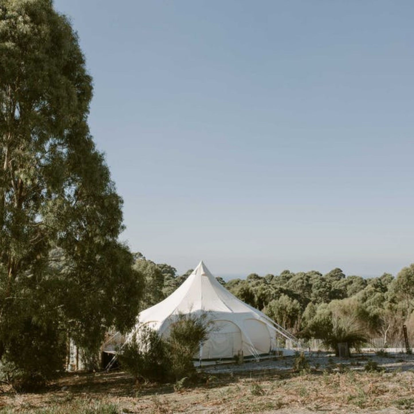 6m Lotus Belle Hybrid Deluxe Tent