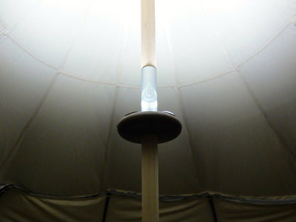 LED Pole Light- Ex Demo